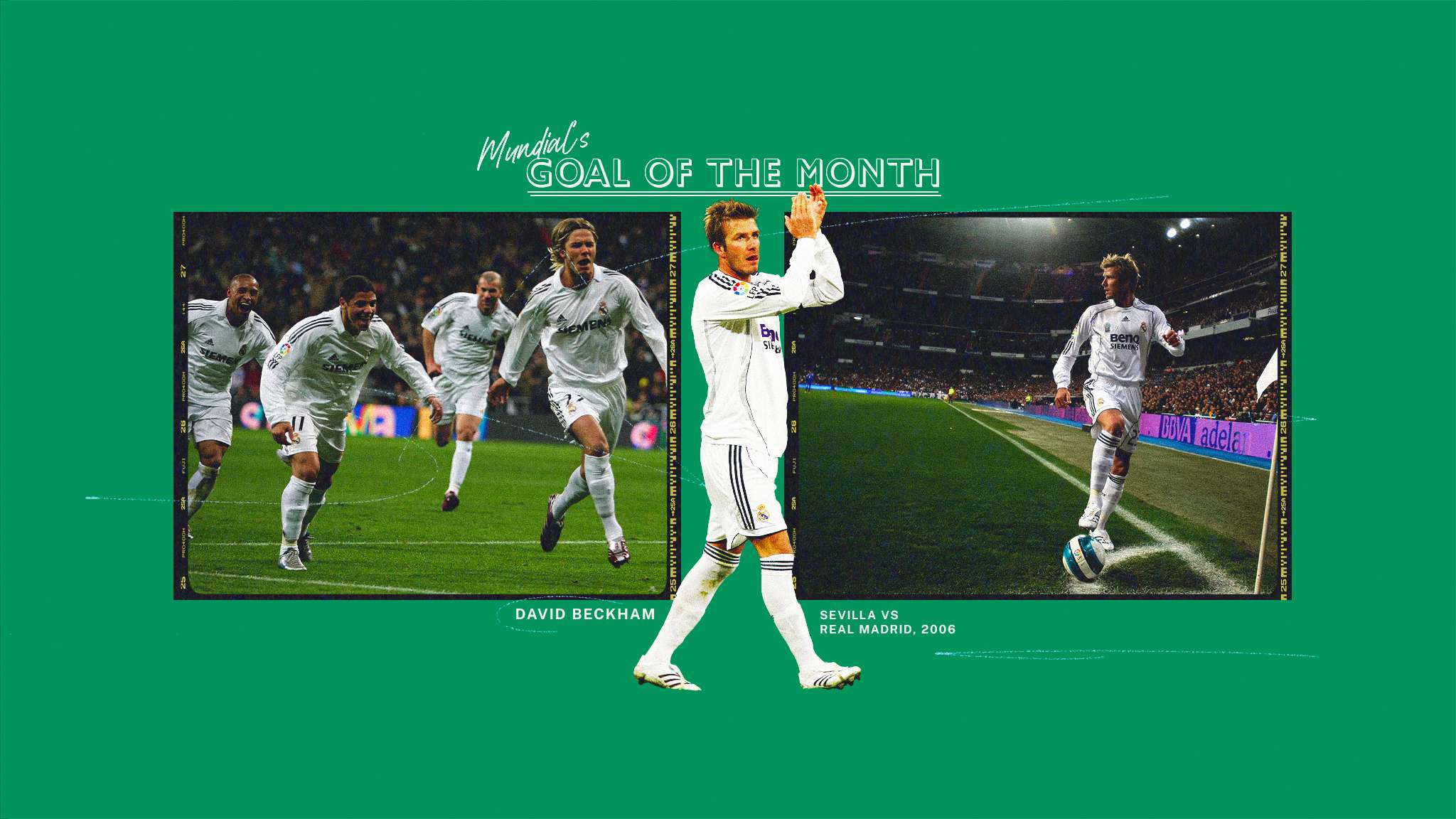 式的观看感 式的观看感