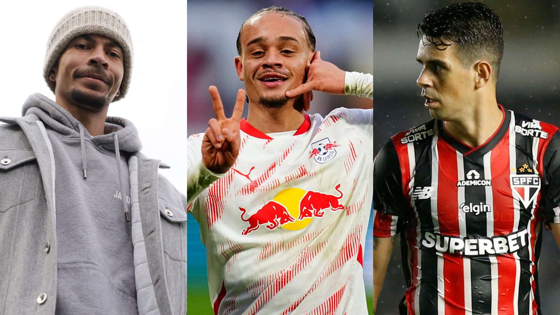 證明了任何 證明了任何