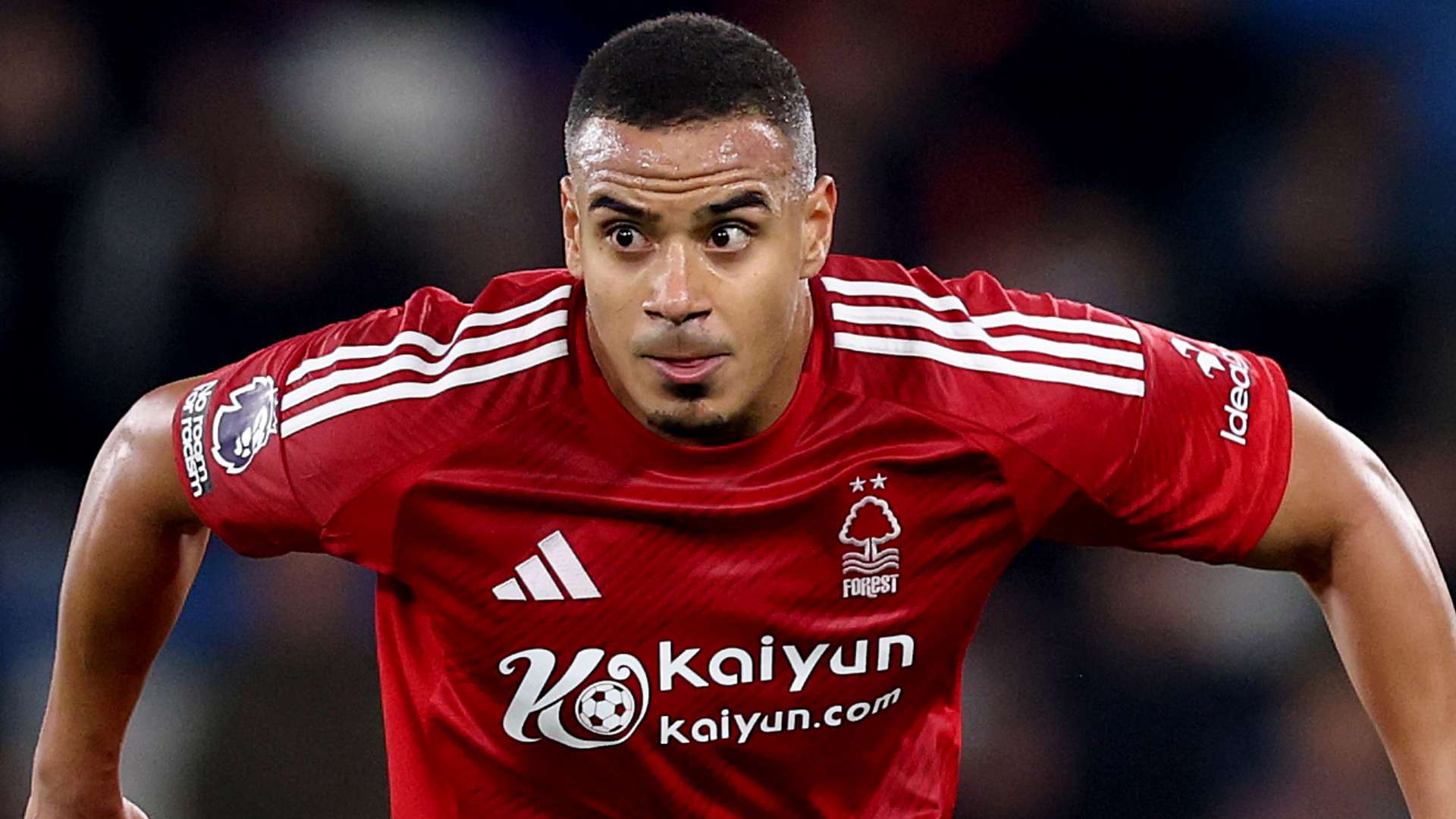 激情与挑战 激情与挑战